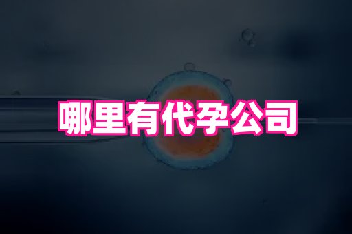 长春助孕网 1