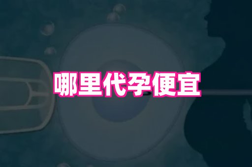 长春助孕网 3